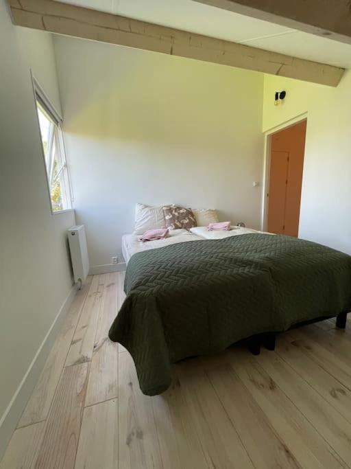 Modern Beach House For 12 Pers! With Jacuzzi Julianadorp Zewnętrze zdjęcie